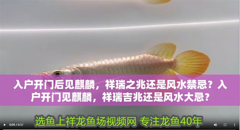 入戶開門后見麒麟，祥瑞之兆還是風水禁忌？入戶開門見麒麟，祥瑞吉兆還是風水大忌？