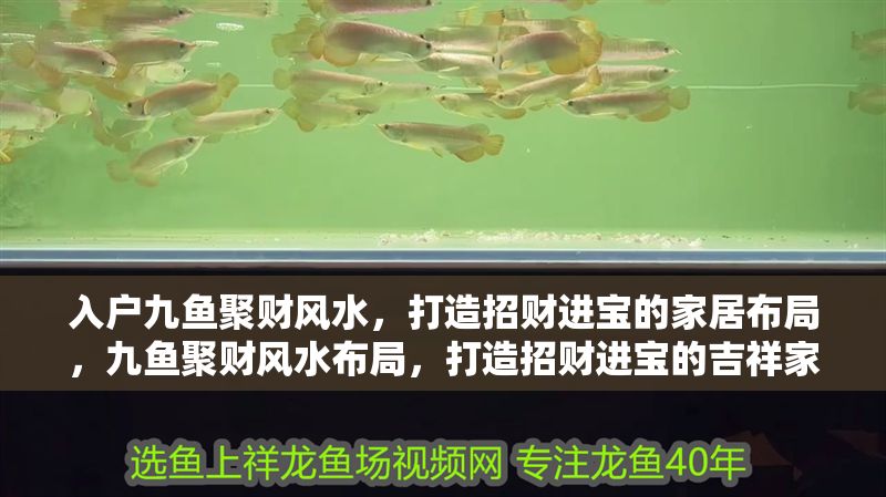 入戶九魚聚財風水，打造招財進寶的家居布局，九魚聚財風水布局，打造招財進寶的吉祥家居