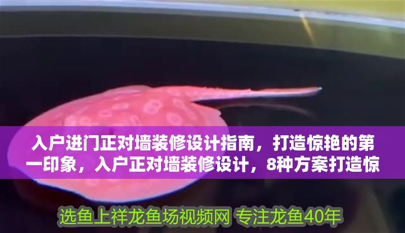 入戶進門正對墻裝修設計指南，打造驚艷的第一印象，入戶正對墻裝修設計，8種方案打造驚艷第一印象