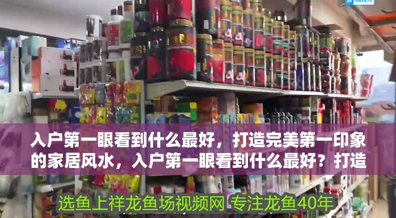 入戶第一眼看到什么最好，打造完美第一印象的家居風(fēng)水，入戶第一眼看到什么最好？打造完美第一印象的家居風(fēng)水指南