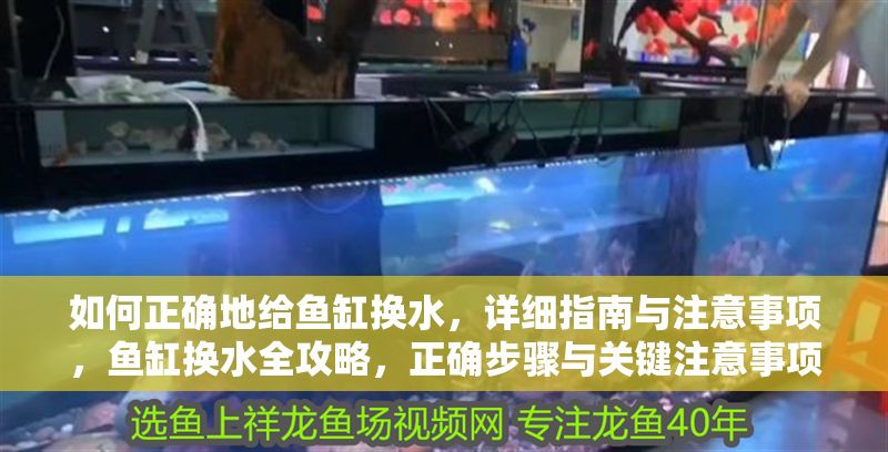 如何正確地給魚缸換水，詳細指南與注意事項，魚缸換水全攻略，正確步驟與關鍵注意事項