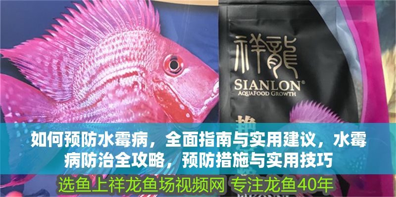 如何預防水霉病,全面指南與實用建議,水霉病防治全攻略,預防措施與實用技巧 龍魚百科 第1張 如何預防水霉病,全面指南與實用建議,水霉病防治全攻略,預防措施與實用技巧 如何預防水霉病,全面指南與實用建議,水霉病防治全攻略,預防措施與實用技巧 龍魚百科 第1張