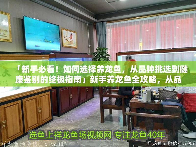 「新手必看！如何選擇養龍魚，從品種挑選到健康鑒別的終極指南」新手養龍魚全攻略，從品種選擇到健康鑒別的終極指南
