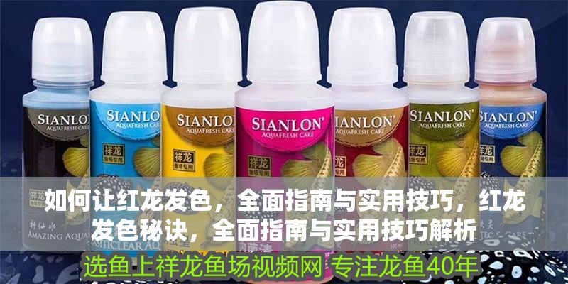 如何讓紅龍發色，全面指南與實用技巧，紅龍發色秘訣，全面指南與實用技巧解析