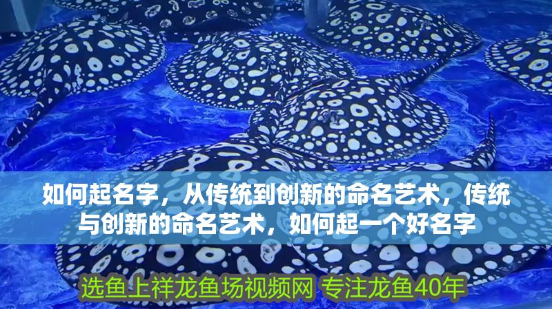 如何起名字，從傳統到創新的命名藝術，傳統與創新的命名藝術，如何起一個好名字