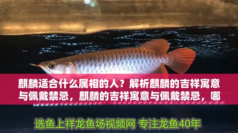 麒麟適合什么屬相的人？解析麒麟的吉祥寓意與佩戴禁忌，麒麟的吉祥寓意與佩戴禁忌，哪些屬相最適合佩戴？