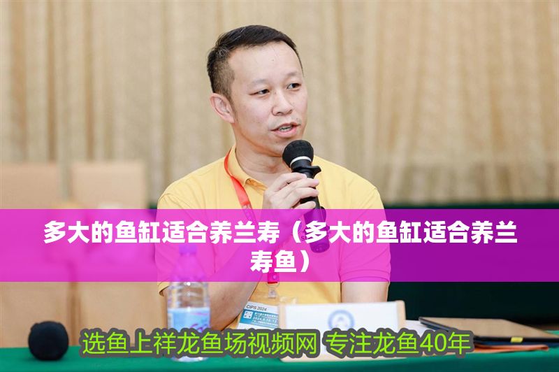多大的魚缸適合養蘭壽（多大的魚缸適合養蘭壽魚）
