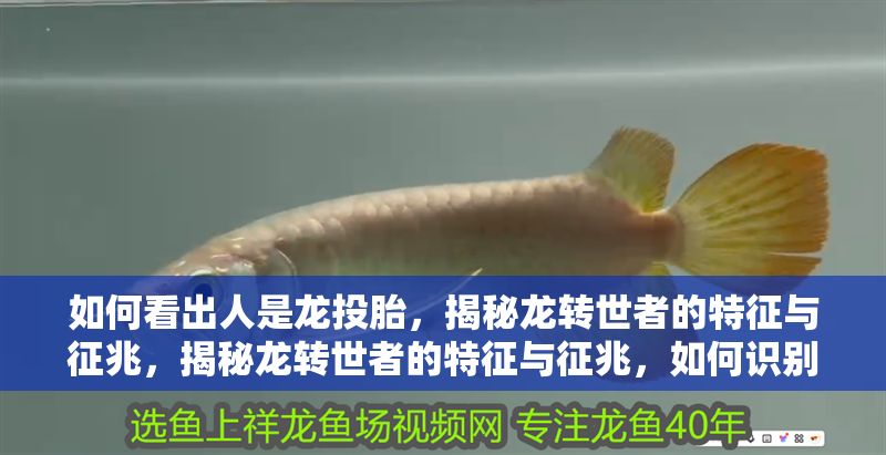 如何看出人是龍投胎，揭秘龍轉(zhuǎn)世者的特征與征兆，揭秘龍轉(zhuǎn)世者的特征與征兆，如何識(shí)別龍投胎的人