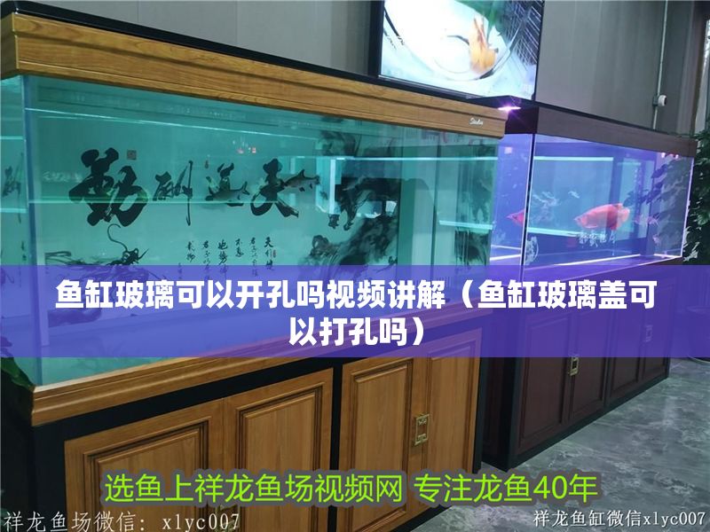 魚缸玻璃可以開孔嗎視頻講解（魚缸玻璃蓋可以打孔嗎）
