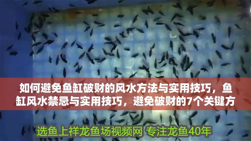 如何避免魚缸破財?shù)娘L水方法與實用技巧，魚缸風水禁忌與實用技巧，避免破財?shù)?個關(guān)鍵方法