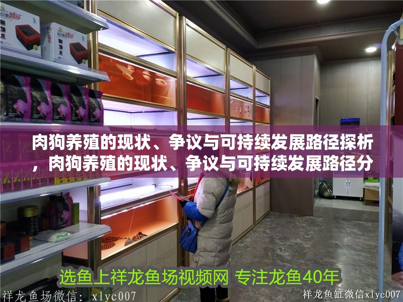 肉狗養殖的現狀、爭議與可持續發展路徑探析，肉狗養殖的現狀、爭議與可持續發展路徑分析