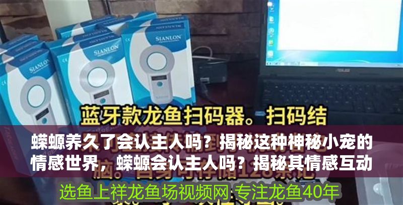 蠑螈養久了會認主人嗎？揭秘這種神秘小寵的情感世界，蠑螈會認主人嗎？揭秘其情感互動與馴養奧秘