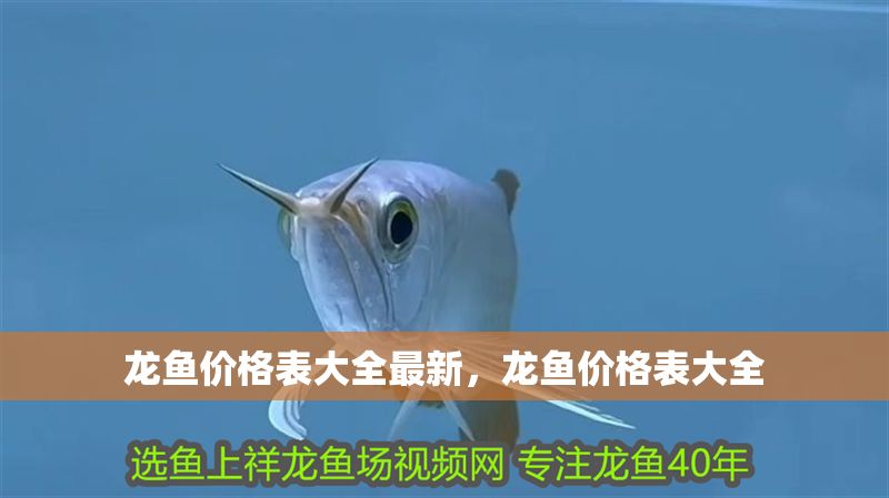 龍魚價格表大全最新，龍魚價格表大全
