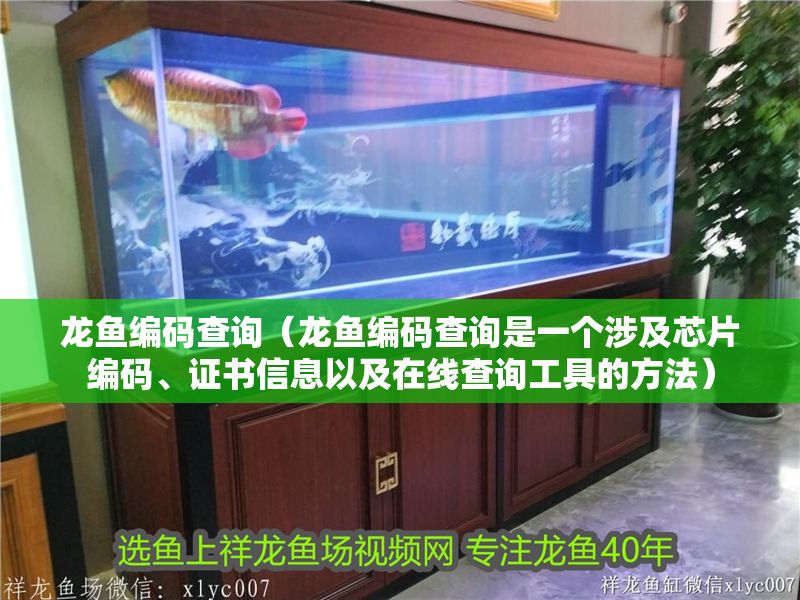 龍魚編碼查詢（龍魚編碼查詢是一個涉及芯片編碼、證書信息以及在線查詢工具的方法）