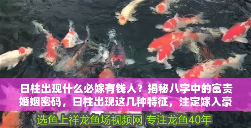日柱出現什么必嫁有錢人？揭秘八字中的富貴婚姻密碼，日柱出現這幾種特征，注定嫁入豪門！八字富貴婚姻全解析