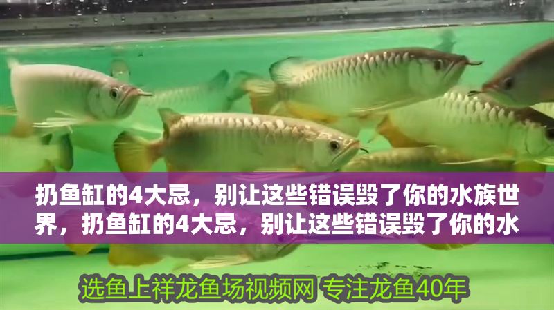 扔魚缸的4大忌，別讓這些錯誤毀了你的水族世界，扔魚缸的4大忌，別讓這些錯誤毀了你的水族世界