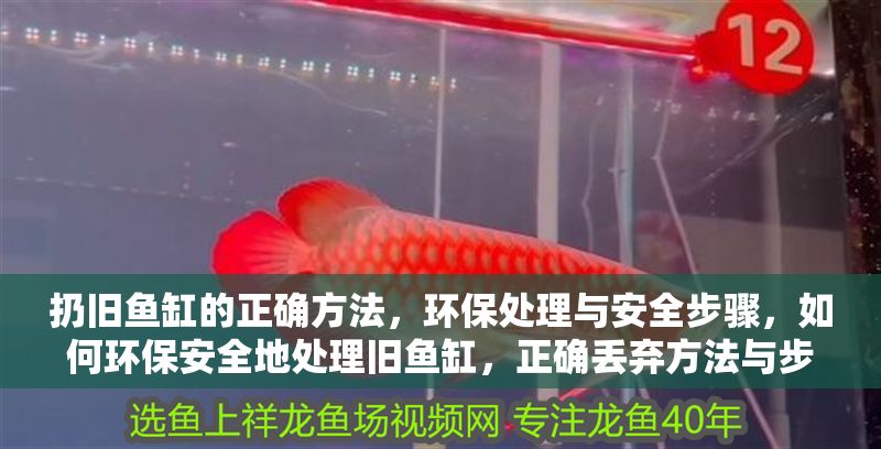 扔舊魚缸的正確方法，環保處理與安全步驟，如何環保安全地處理舊魚缸，正確丟棄方法與步驟指南