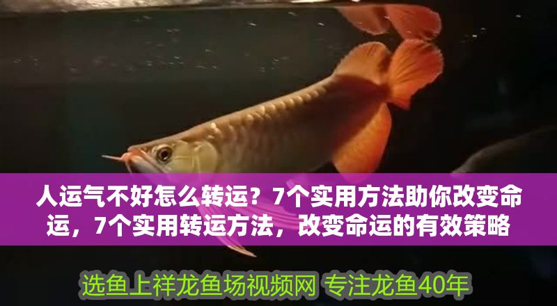 人運(yùn)氣不好怎么轉(zhuǎn)運(yùn)？7個實用方法助你改變命運(yùn)，7個實用轉(zhuǎn)運(yùn)方法，改變命運(yùn)的有效策略 人運(yùn)氣不好怎么轉(zhuǎn)運(yùn)？7個實用方法助你改變命運(yùn)，7個實用轉(zhuǎn)運(yùn)方法，改變命運(yùn)的有效策略 龍魚百科 第1張