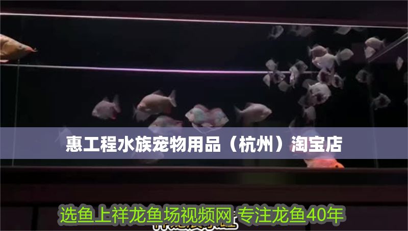惠工程水族寵物用品（杭州）淘寶店