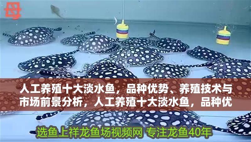 人工養殖十大淡水魚，品種優勢、養殖技術與市場前景分析，人工養殖十大淡水魚，品種優勢、養殖技術與市場前景全面解析