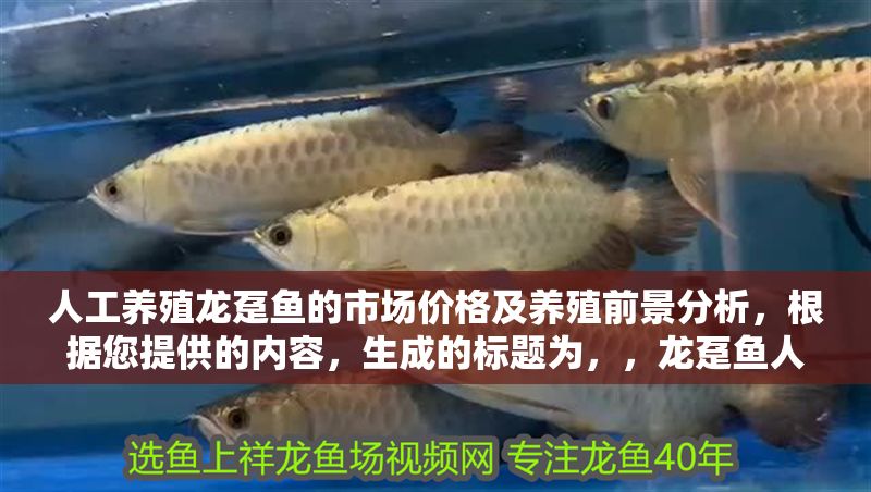 人工養殖龍躉魚的市場價格及養殖前景分析，根據您提供的內容，生成的標題為，，龍躉魚人工養殖市場價格與產業發展前景研究報告，在保持原意基礎上，通過研究報告強化專業性，同時用產業發展替換養殖以拓寬分析維度，符合市場調研類文章的常見命名邏輯。） 人工養殖龍躉魚的市場價格及養殖前景分析，根據您提供的內容，生成的標題為，，龍躉魚人工養殖市場價格與產業發展前景研究報告，在保持原意基礎上，通過研究報告強化專業性，同時用產業發展替換養殖以拓寬分析維度，符合市場調研類文章的常見命名邏輯。） 龍魚百科 第1張