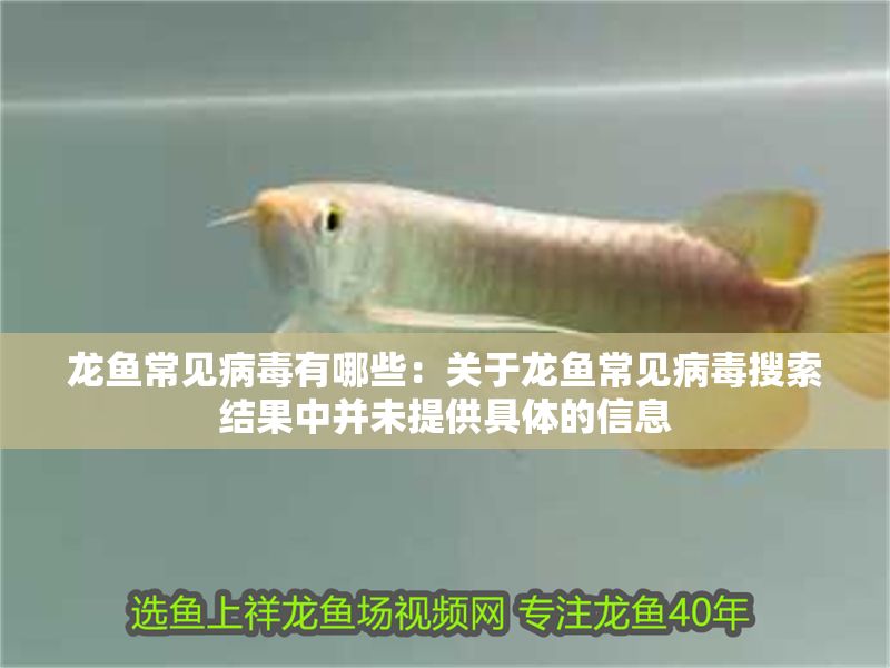 龍魚常見病毒有哪些：關(guān)于龍魚常見病毒搜索結(jié)果中并未提供具體的信息