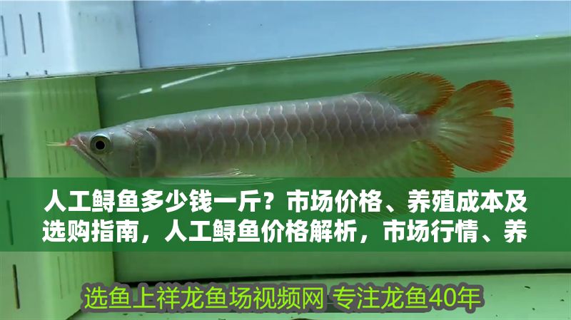 人工鱘魚多少錢一斤？市場價格、養(yǎng)殖成本及選購指南，人工鱘魚價格解析，市場行情、養(yǎng)殖成本與選購技巧