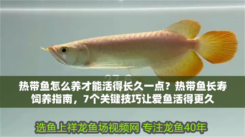 熱帶魚怎么養(yǎng)才能活得長久一點?熱帶魚長壽飼養(yǎng)指南,7個關(guān)鍵技巧讓愛魚活得更久 龍魚百科 第1張 熱帶魚怎么養(yǎng)才能活得長久一點?熱帶魚長壽飼養(yǎng)指南,7個關(guān)鍵技巧讓愛魚活得更久 熱帶魚怎么養(yǎng)才能活得長久一點?熱帶魚長壽飼養(yǎng)指南,7個關(guān)鍵技巧讓愛魚活得更久 龍魚百科 第1張