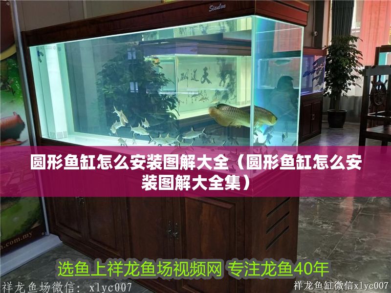 圓形魚缸怎么安裝圖解大全（圓形魚缸怎么安裝圖解大全集）