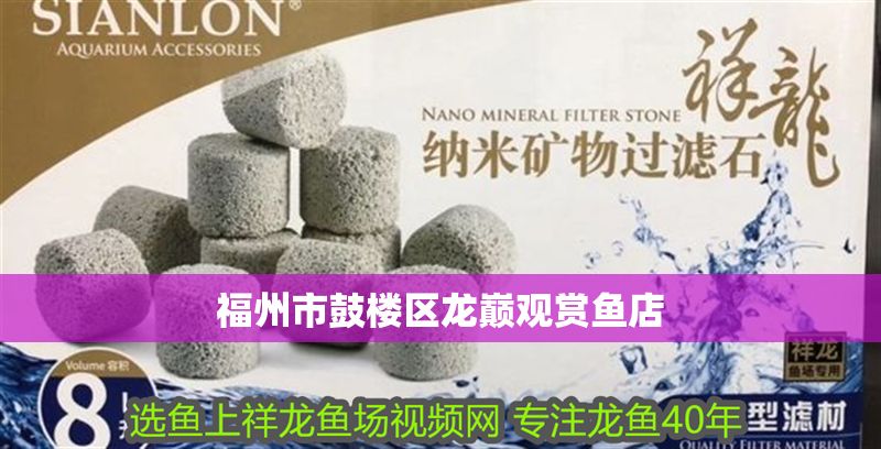福州市鼓樓區龍巔觀賞魚店