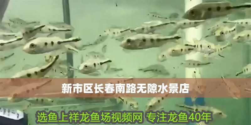 新市區長春南路無隙水景店