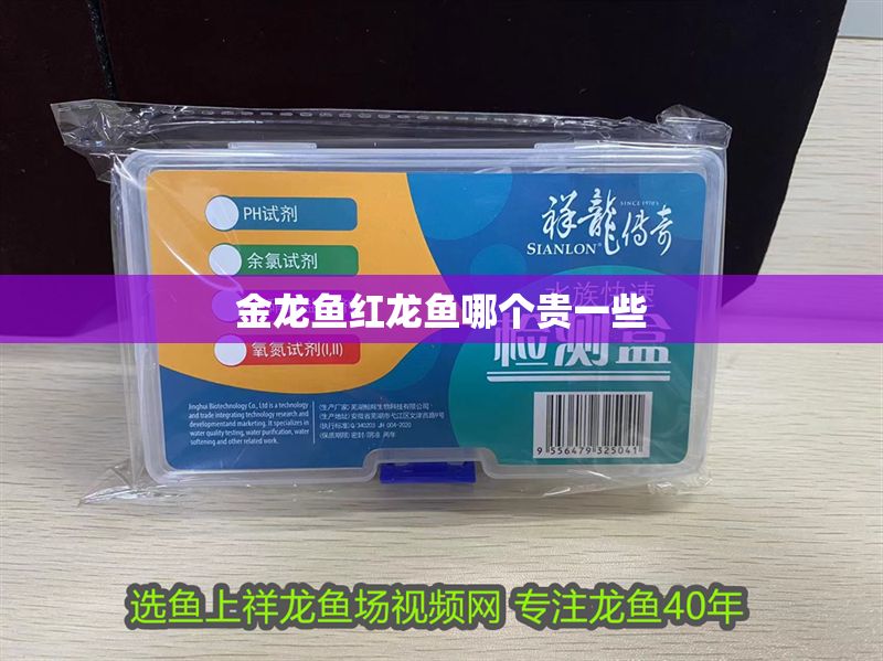 金龍魚紅龍魚哪個貴一些