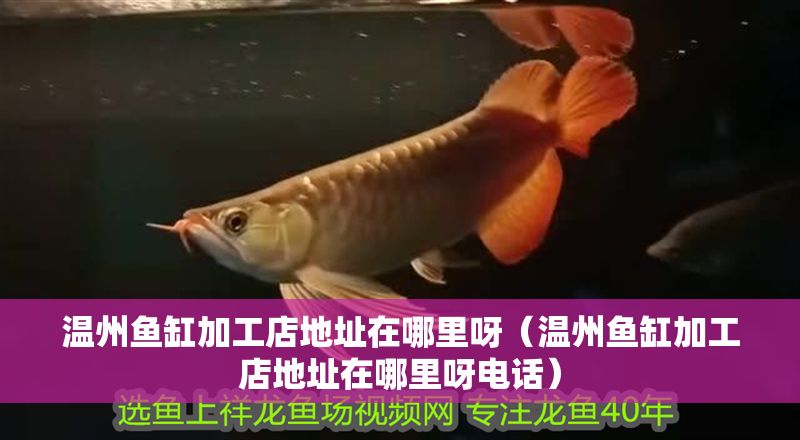 溫州魚缸加工店地址在哪里呀（溫州魚缸加工店地址在哪里呀電話）