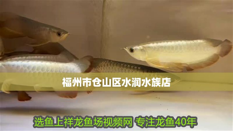 福州市倉山區(qū)水潤水族店