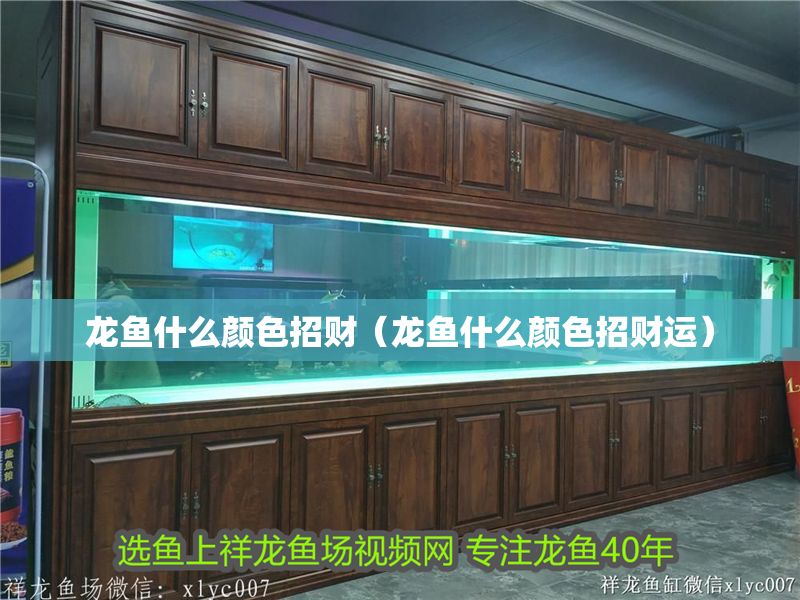 龍魚什么顏色招財(cái)（龍魚什么顏色招財(cái)運(yùn)）