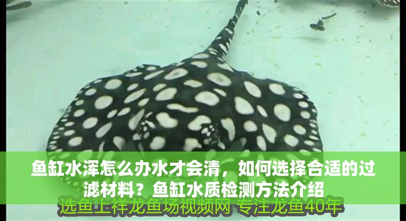 魚缸水渾怎么辦水才會清，如何選擇合適的過濾材料？魚缸水質檢測方法介紹