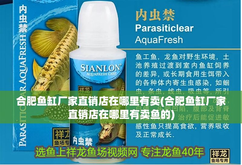 <strong><mark>合肥</mark></strong>魚缸廠家直銷店在哪里有賣(<strong><mark>合肥</mark></strong>魚缸廠家直銷店在哪里有賣魚的)
