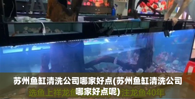 蘇州魚缸清洗公司哪家好點(蘇州魚缸清洗公司哪家好點呢)