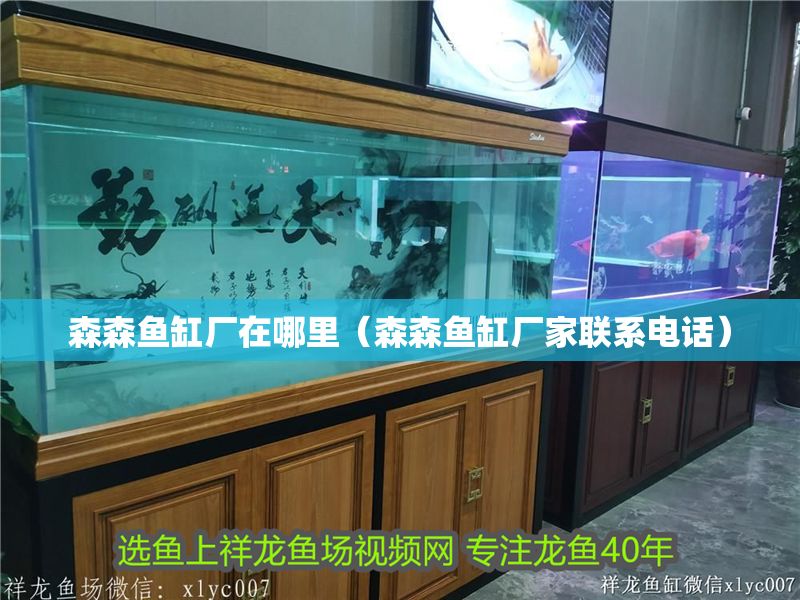 森森魚缸廠在哪里（森森魚缸廠家聯系電話）