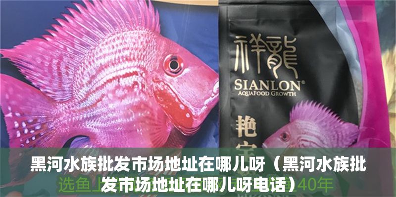黑河水族批發市場地址在哪兒呀（黑河水族批發市場地址在哪兒呀電話）