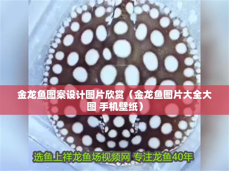 金龍魚圖案設(shè)計(jì)圖片欣賞（金龍魚圖片大全大圖 手機(jī)壁紙）