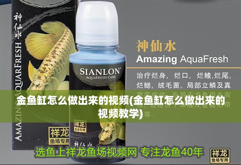 金魚缸怎么做出來的視頻(金魚缸怎么做出來的視頻教學(xué))