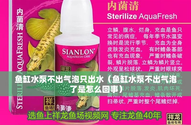 魚缸水泵不出氣泡只出水（魚缸水泵不出氣泡了是怎么回事）
