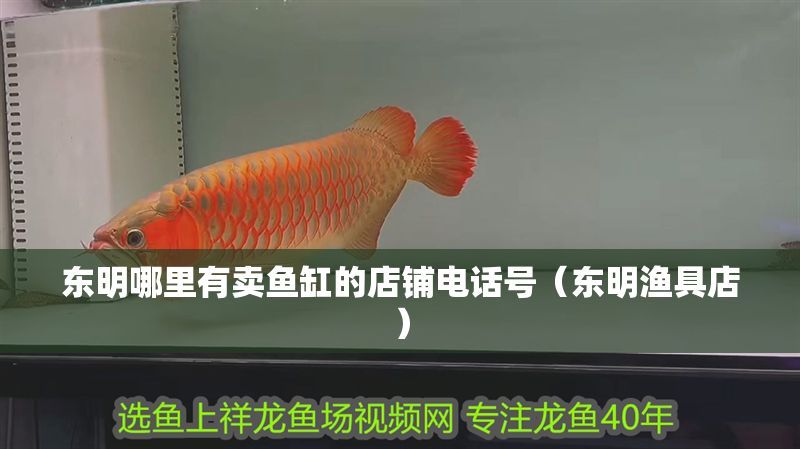 東明哪里有賣魚缸的店鋪電話號(hào)（東明漁具店）