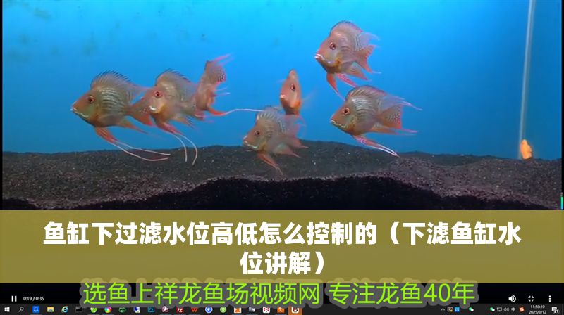 魚缸下過濾水位高低怎么控制的（下濾魚缸水位講解）