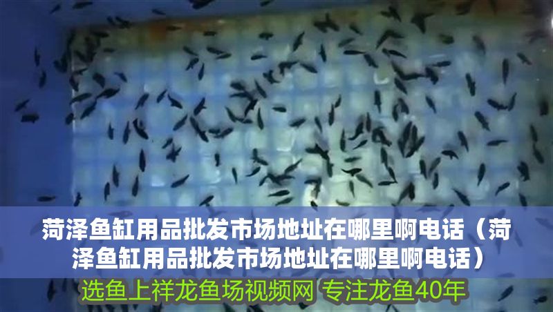 菏澤魚缸用品批發市場地址在哪里啊電話（菏澤魚缸用品批發市場地址在哪里啊電話）