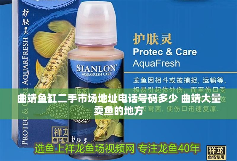 曲靖魚缸二手市場地址電話號碼多少 曲靖大量賣魚的地方
