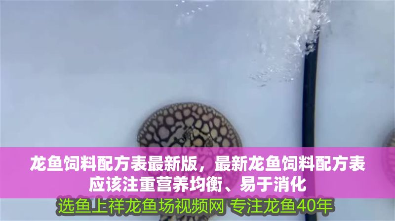 龍魚飼料配方表最新版，最新龍魚飼料配方表應該注重營養均衡、易于消化