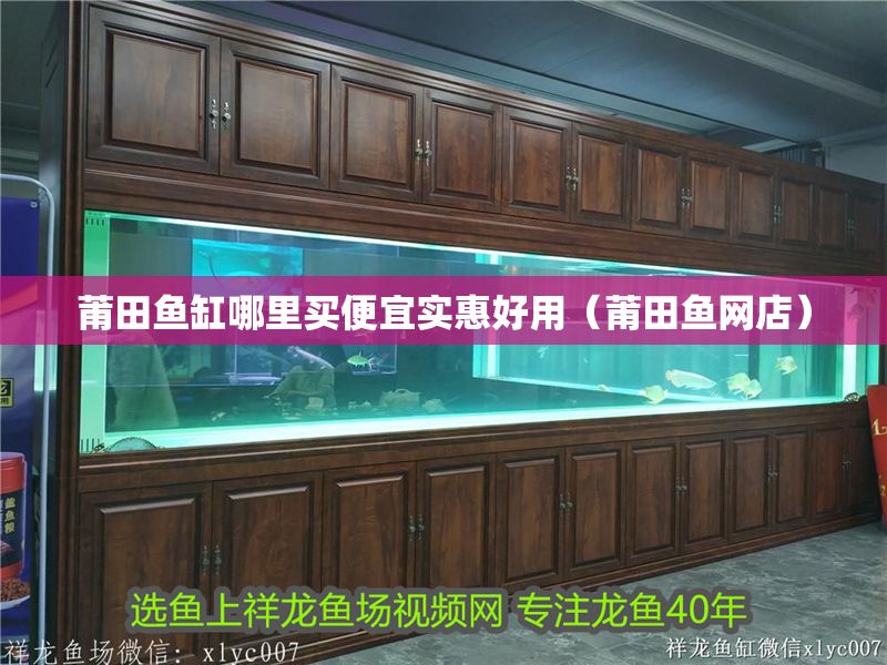 莆田魚缸哪里買便宜實惠好用（莆田魚網店） 莆田魚缸哪里買便宜實惠好用（莆田魚網店） 全國水族館企業名錄 第2張