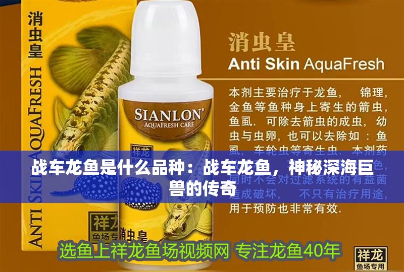 戰車龍魚是什么品種：戰車龍魚，神秘深海巨獸的傳奇